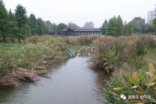 湖南綠楷節能環?？萍加邢薰?湖南土壤污染修復,污水處理工程,農業污染治理,環保工程